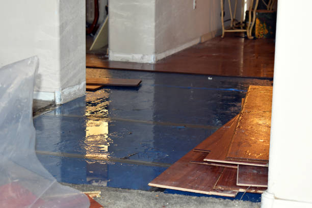 Professional Burst Pipe Cleanup technician working in Cantonment, FL